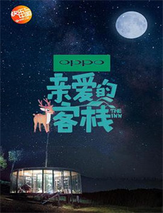 变形金刚:地球火种 第二季