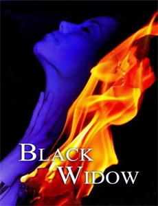 督察班克斯 第六季