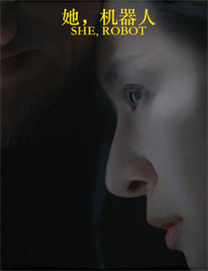 奇迹三雄之扑克牌游戏